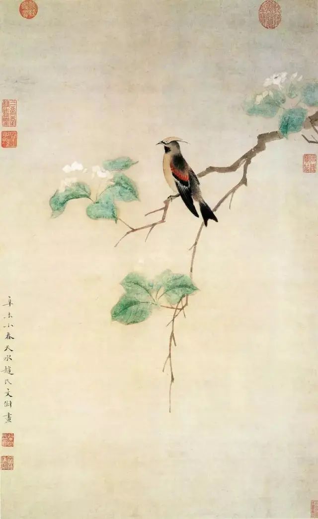 文俶《花鸟图》——晚期的工笔佳作