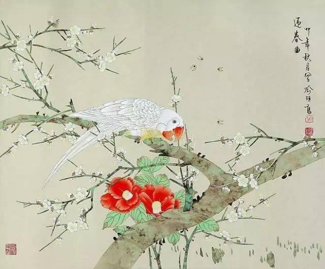 花卉及鸟的观察、白描...花鸟画初学者必读！