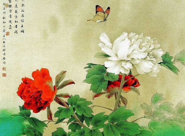 花卉及鸟的观察、白描...花鸟画初学者必读！
