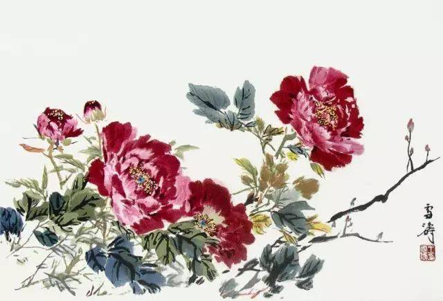 花卉及鸟的观察、白描...花鸟画初学者必读！