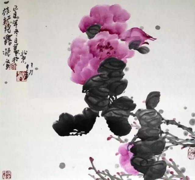 花卉及鸟的观察、白描...花鸟画初学者必读！