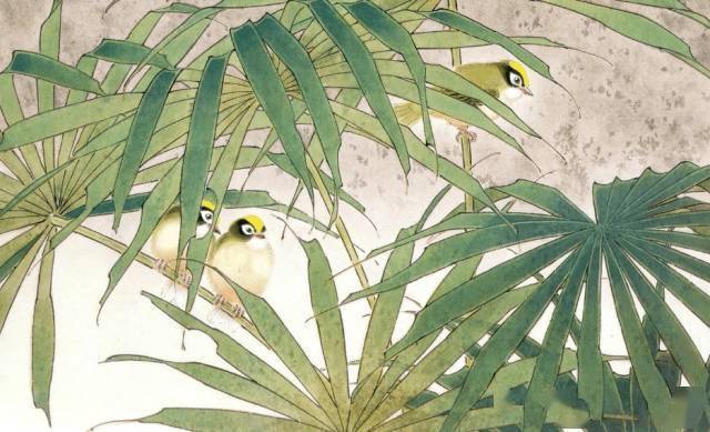 花卉及鸟的观察、白描...花鸟画初学者必读！