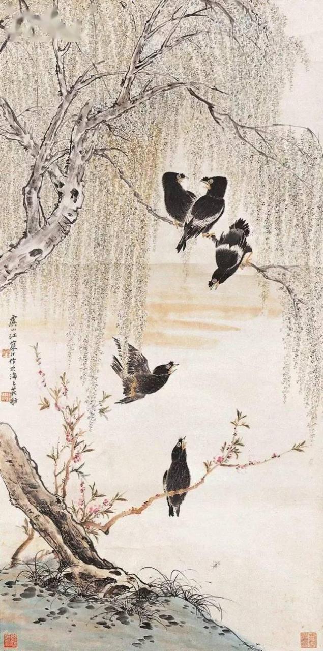 花卉及鸟的观察、白描...花鸟画初学者必读！