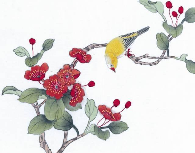 花卉及鸟的观察、白描...花鸟画初学者必读！