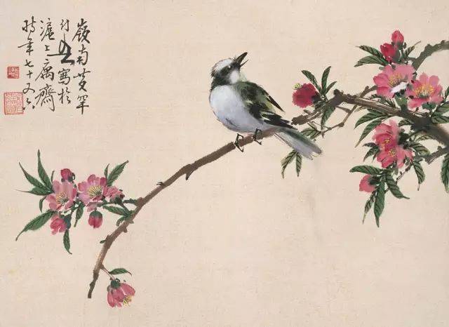 花卉及鸟的观察、白描...花鸟画初学者必读！