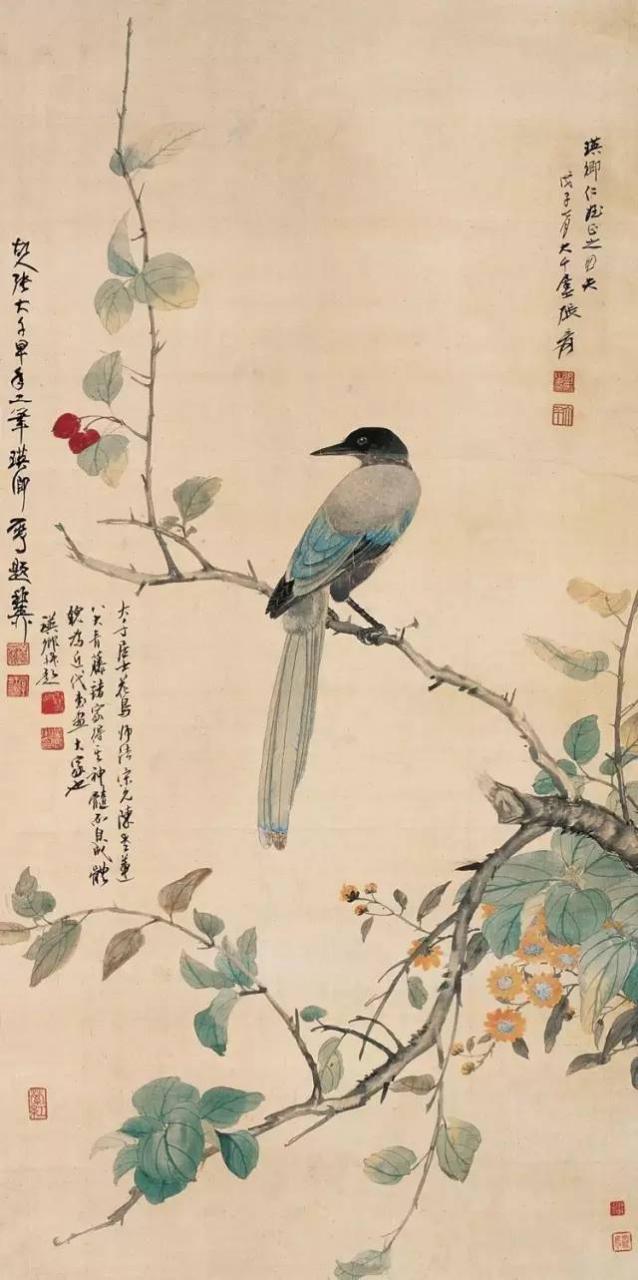 花卉及鸟的观察、白描...花鸟画初学者必读！