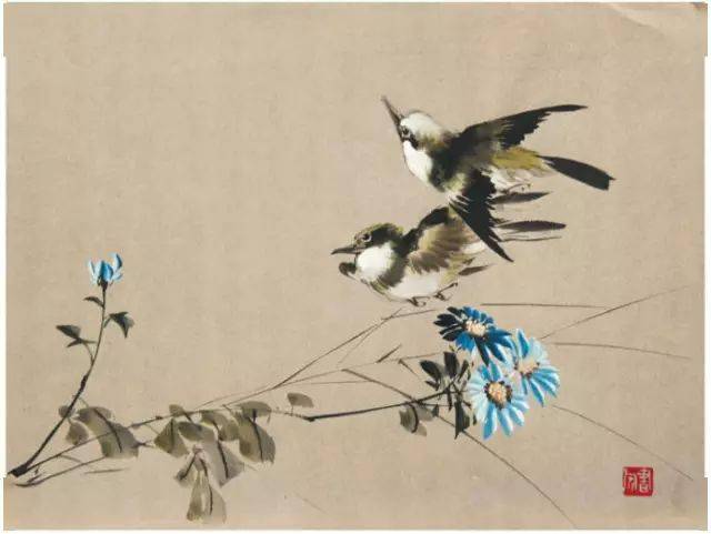 花卉及鸟的观察、白描...花鸟画初学者必读！