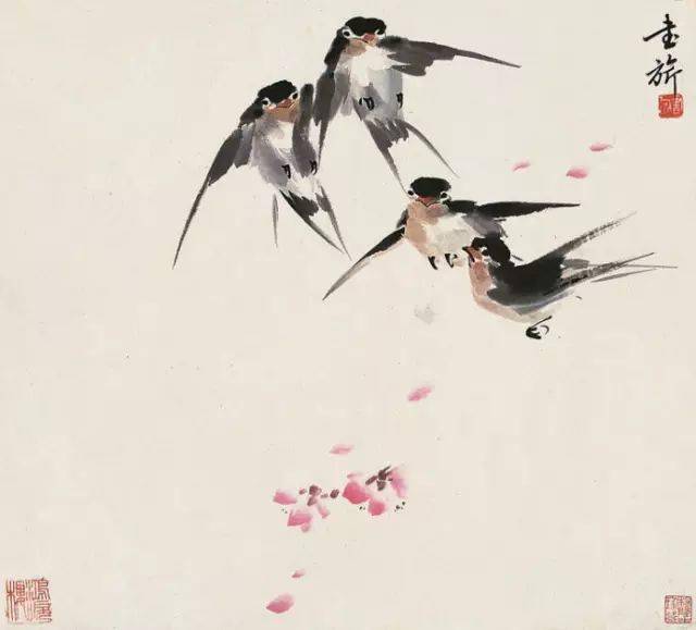花卉及鸟的观察、白描...花鸟画初学者必读！