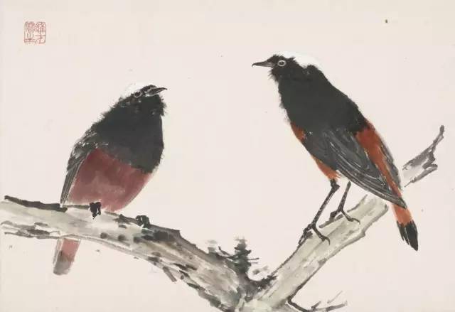 花卉及鸟的观察、白描...花鸟画初学者必读！
