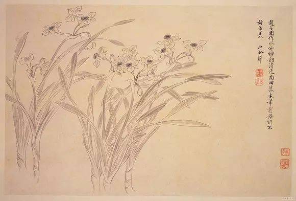 花卉及鸟的观察、白描...花鸟画初学者必读！
