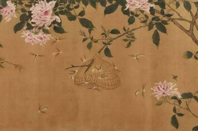 花卉及鸟的观察、白描...花鸟画初学者必读！