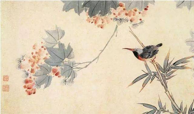 花卉及鸟的观察、白描...花鸟画初学者必读！