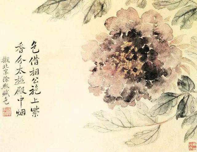 花卉及鸟的观察、白描...花鸟画初学者必读！