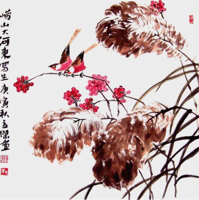 花卉及鸟的观察、白描...花鸟画初学者必读！