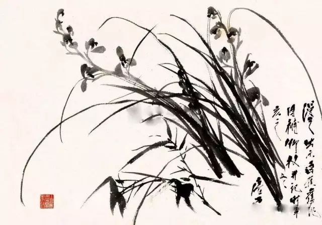 如何画好花鸟画？口诀大全，超实用！