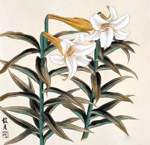 如何画好花鸟画？口诀大全，超实用！