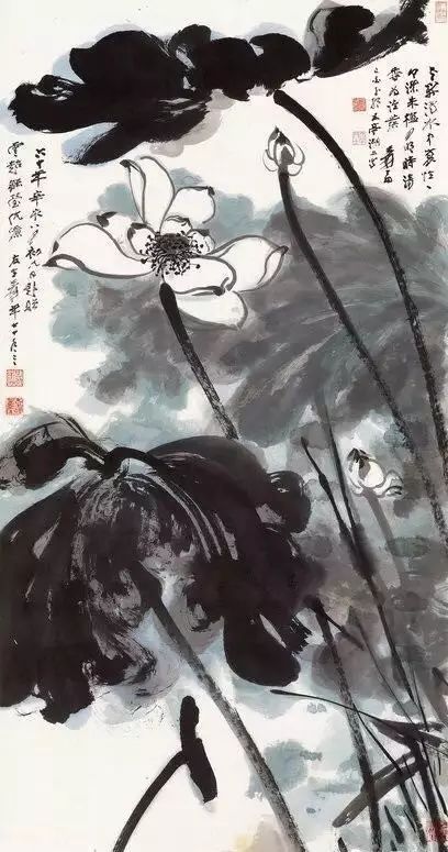 如何画好花鸟画？口诀大全，超实用！