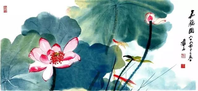 如何画好花鸟画？口诀大全，超实用！