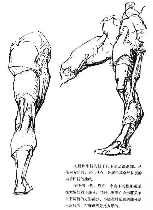 伯里曼《人体结构绘画教学》—— 脚