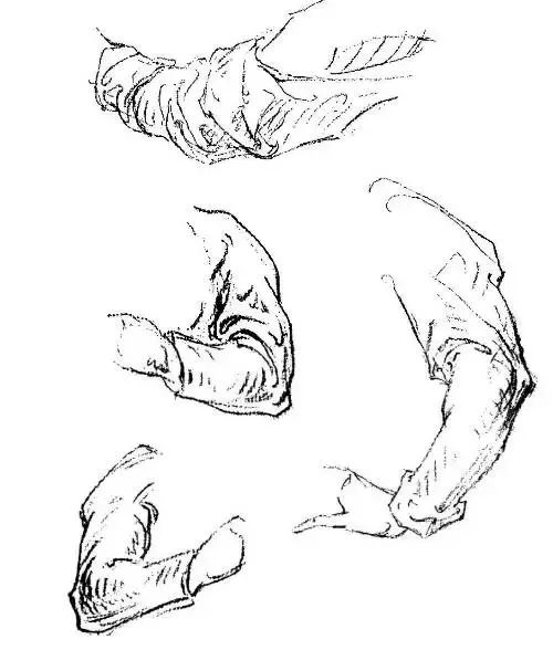 伯里曼《人体结构绘画教学》—— 衣纹