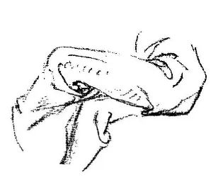 伯里曼《人体结构绘画教学》—— 衣纹