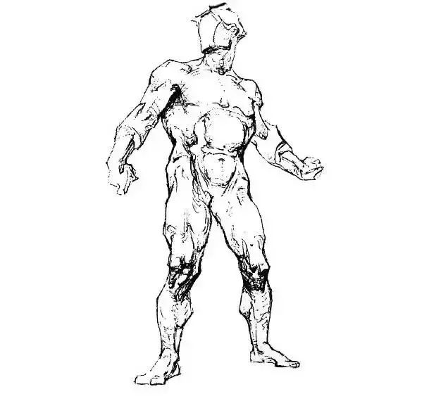 伯里曼《人体结构绘画教学》—— 衣纹