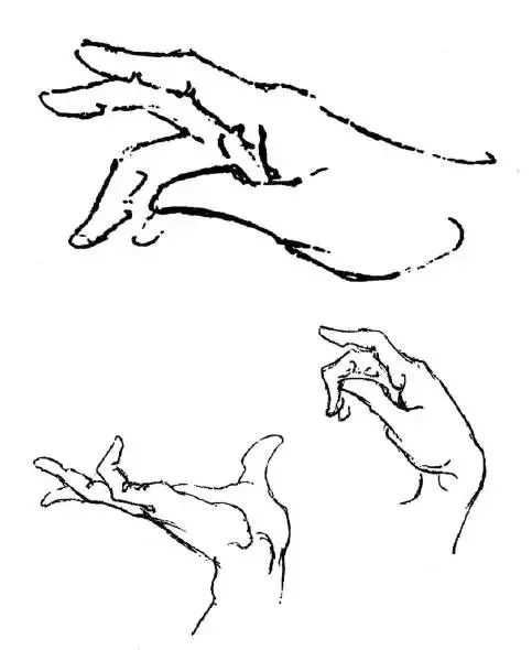 伯里曼《人体结构绘画教学》—— 衣纹