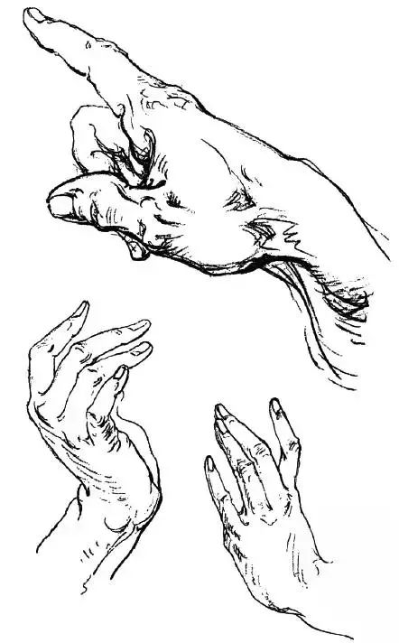 伯里曼《人体结构绘画教学》—— 衣纹