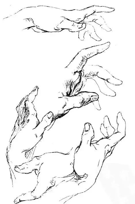 伯里曼《人体结构绘画教学》—— 衣纹