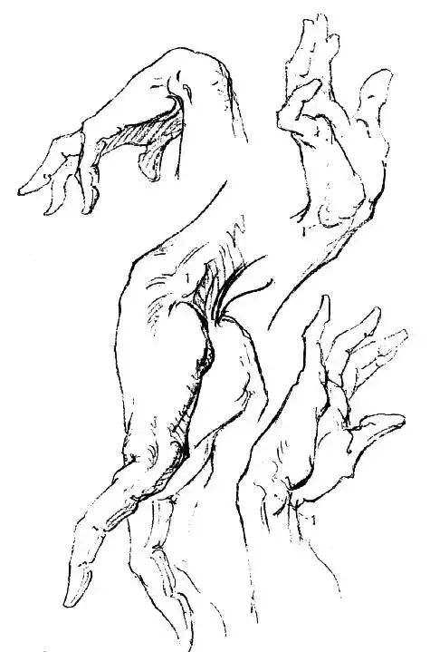 伯里曼《人体结构绘画教学》—— 衣纹