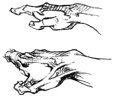 伯里曼《人体结构绘画教学》—— 衣纹