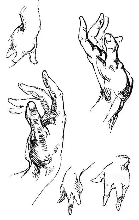 伯里曼《人体结构绘画教学》—— 衣纹