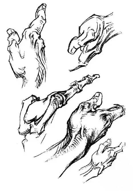 伯里曼《人体结构绘画教学》—— 衣纹