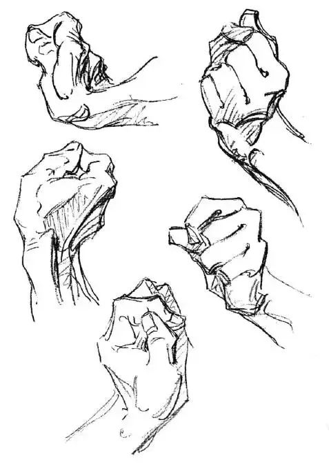 伯里曼《人体结构绘画教学》—— 衣纹