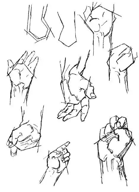 伯里曼《人体结构绘画教学》—— 衣纹