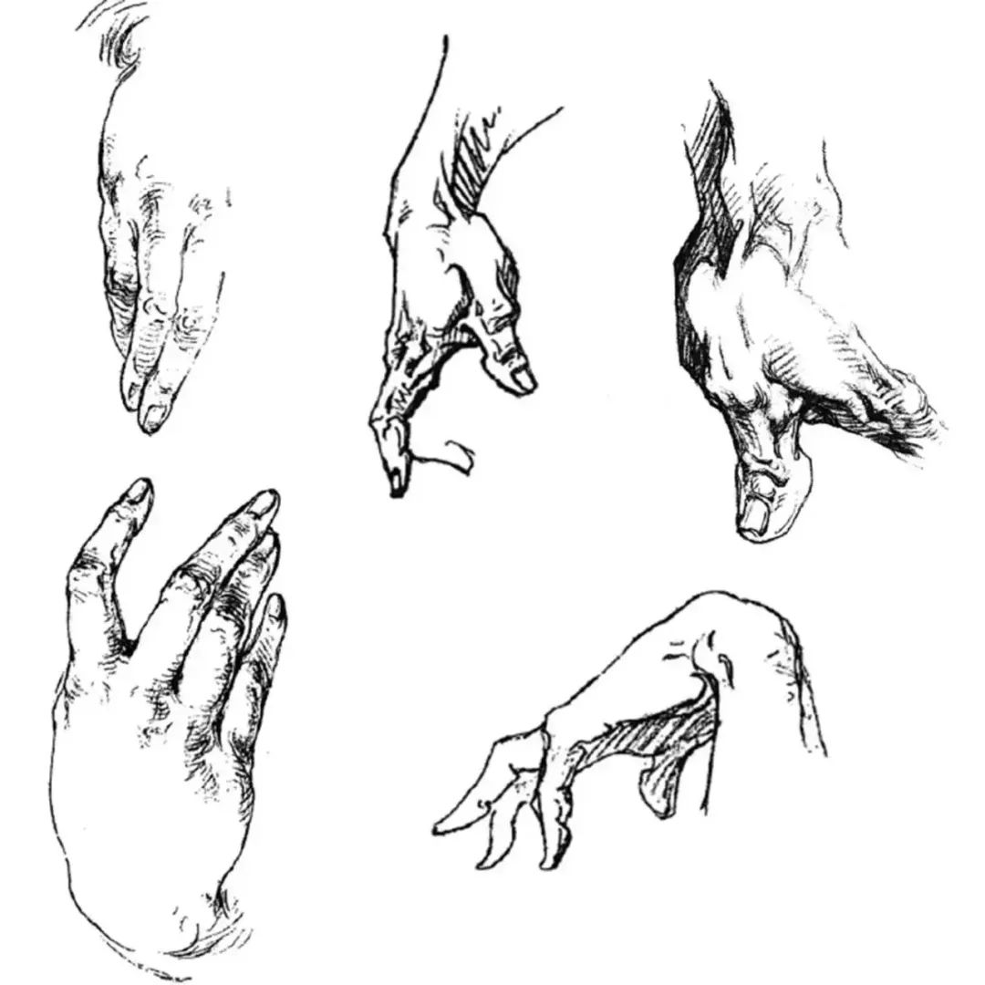 伯里曼《人体结构绘画教学》—— 衣纹