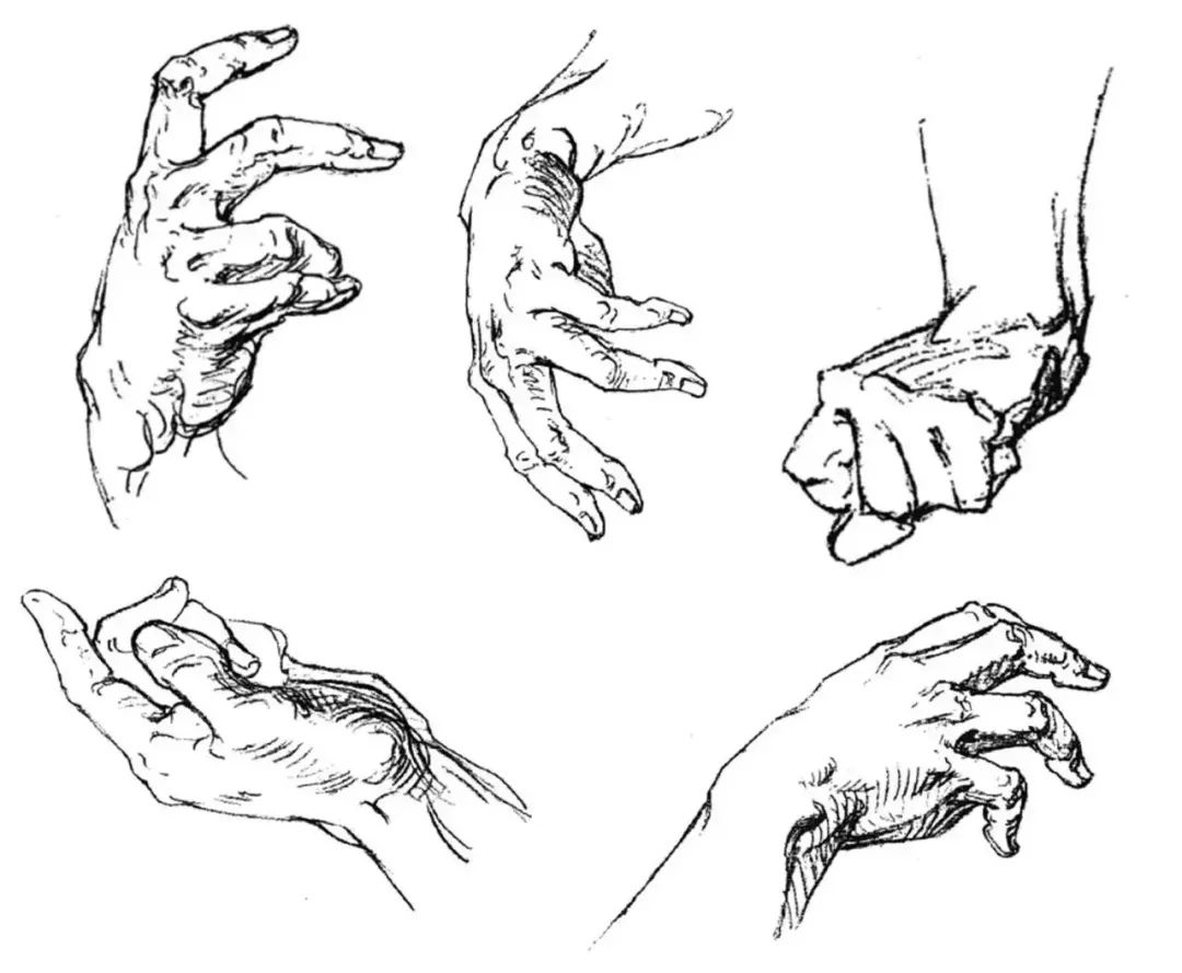伯里曼《人体结构绘画教学》—— 衣纹