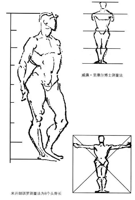 伯里曼《人体结构绘画教学》——比例