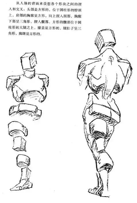 伯里曼《人体结构绘画教学》——体块穿插与扭动关系