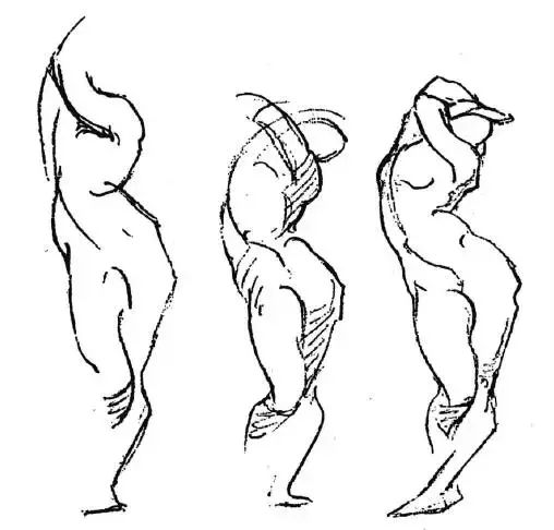伯里曼《人体结构绘画教学》——扭动关系与韵律