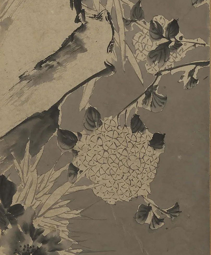 徐渭《墨花图》