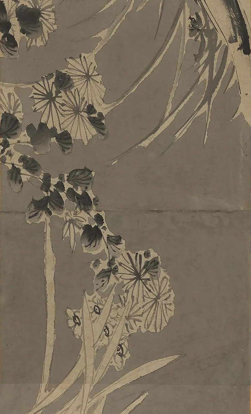 徐渭《墨花图》