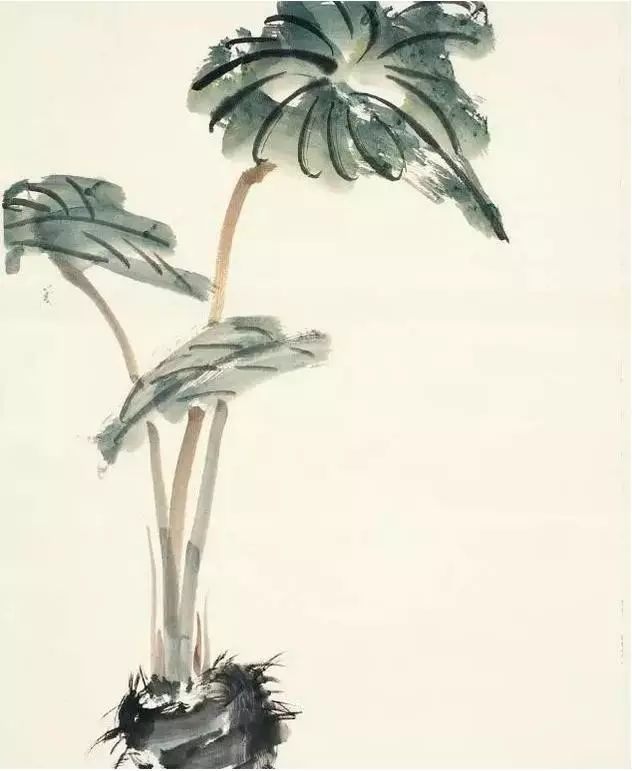 写意蔬果国画教程，一学就会