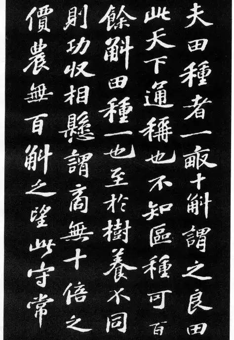 苏轼小楷《养生论》拓本-美术100 苏轼小楷《养生论》拓本